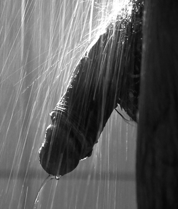 tumblr_ovrl7hMO0u1w0uopso1_1280